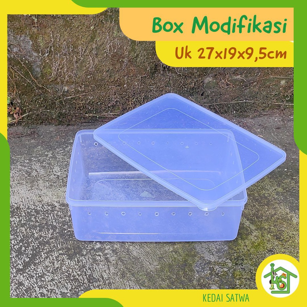 Box Reptile | Kandang Gecko Tarantula Ular  | Box Packing Reptil
