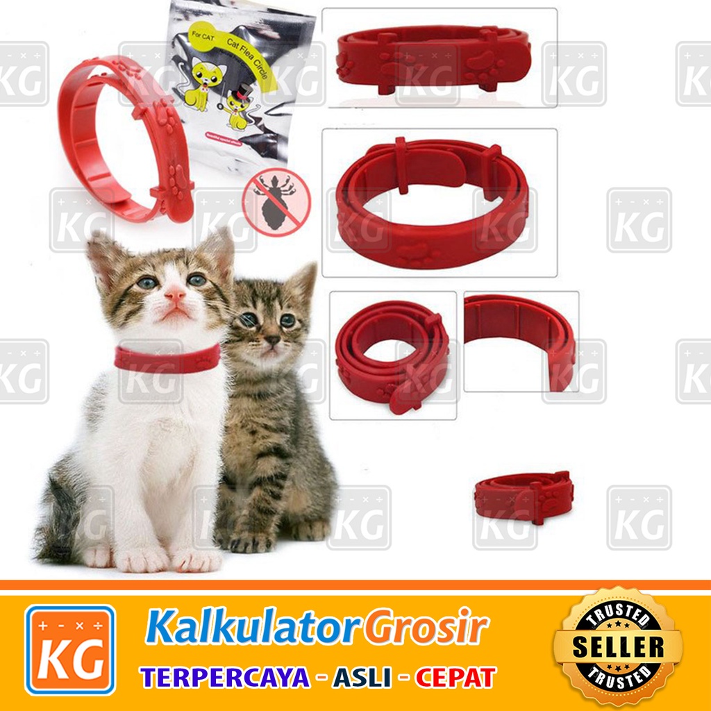 Kalung Anti Kutu Kucing Anjing Kelinci / NO FLEA / Cat Flea Import / aksesoris kucing / obat kutu