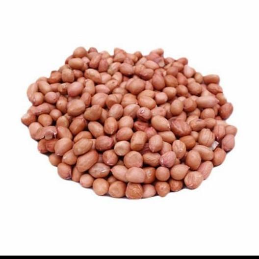 

((((()paling dicari] GROUNDNUT / PEA NUT / KACANG TANAH INDIAN / 100 GEAM