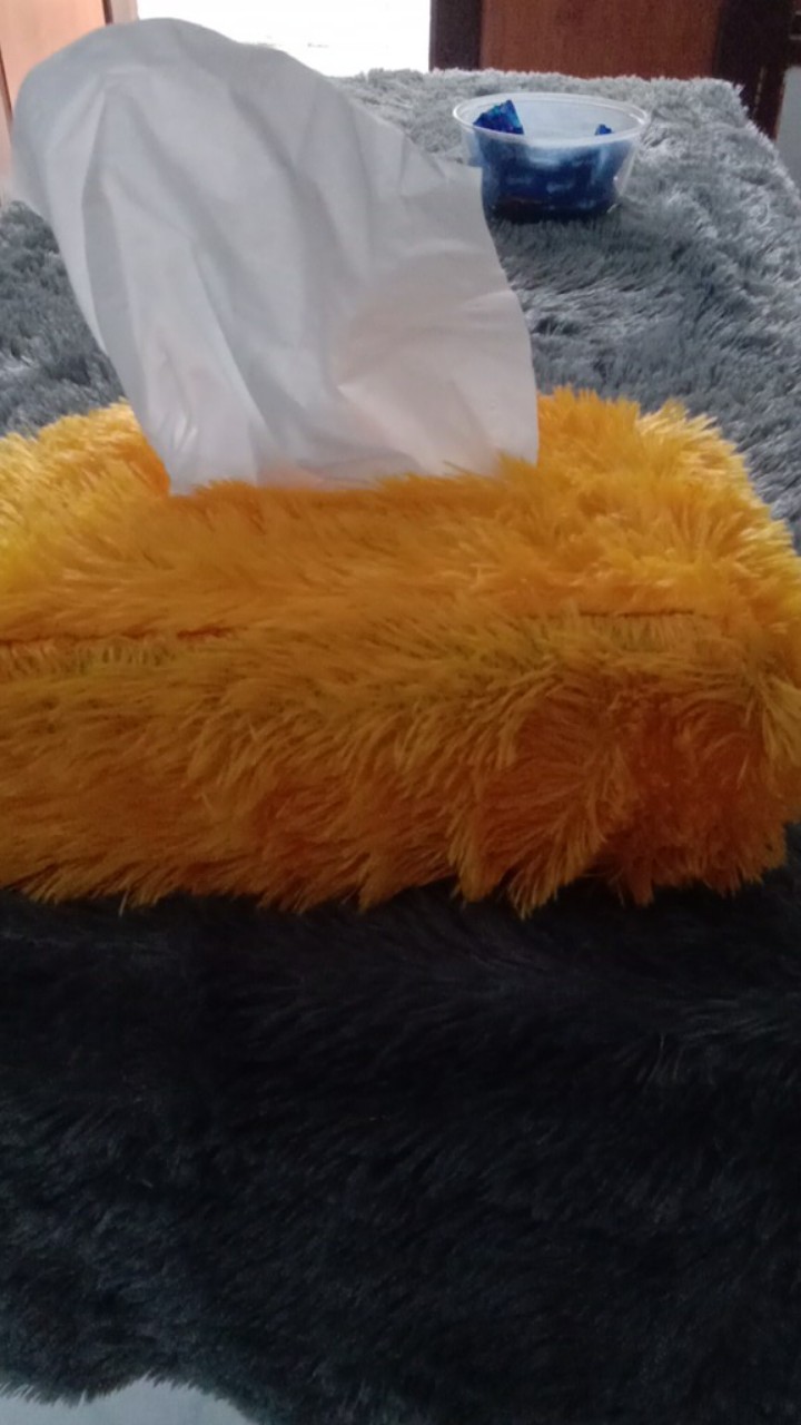 (cod ) Tempat Tisu Bulu,lembut,murah,raspur