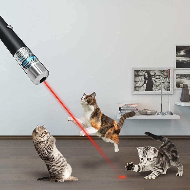 Mainan Laser Pointer 5MW Dengan Lampu LED UV Flashlig USB Untuk Kucing Peliharaan