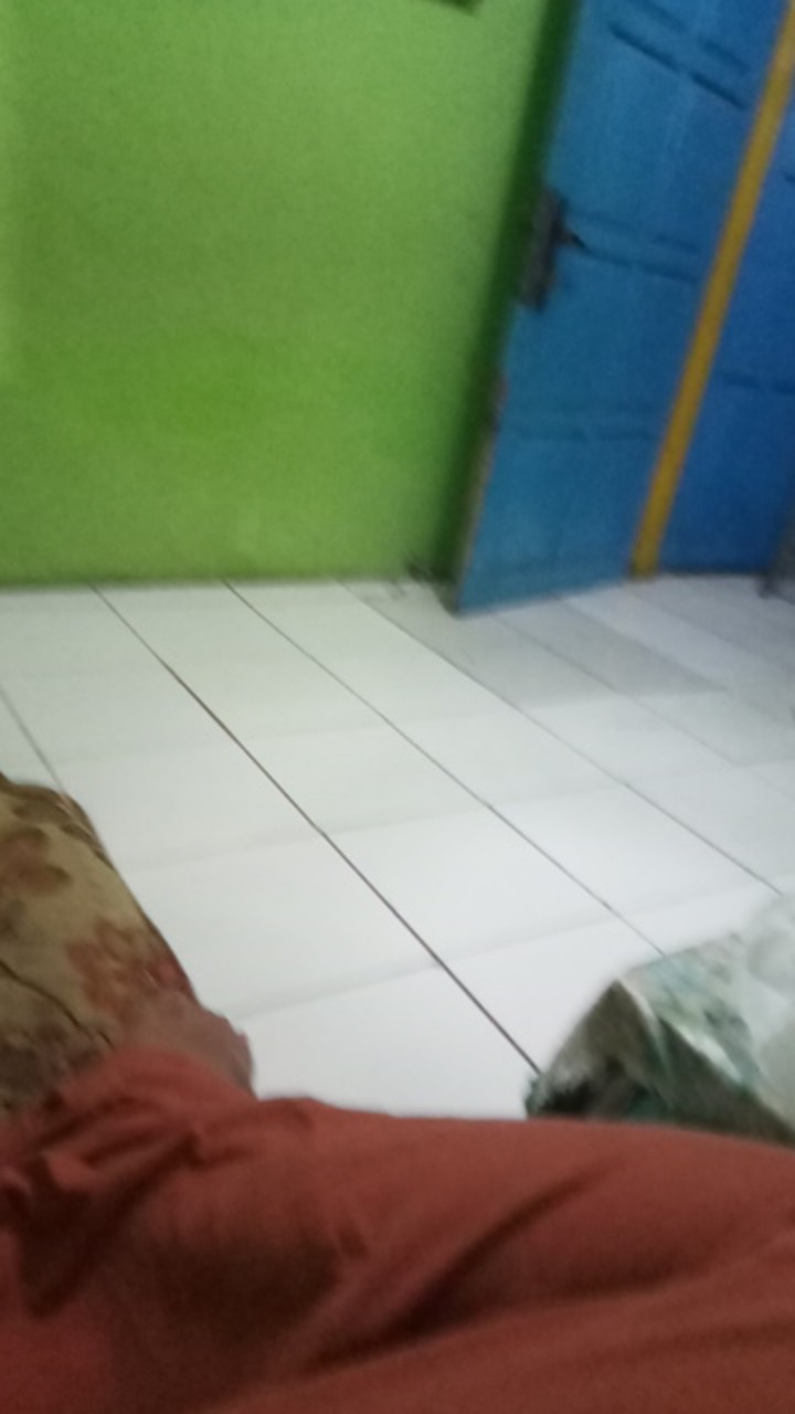 Tang Buaya Jepit Chrome Locking Plier Gagang Besi 10 Inch Alat Pertukangan