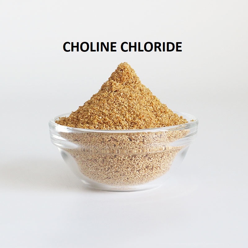 Choline Chloride Powder 100 gram
