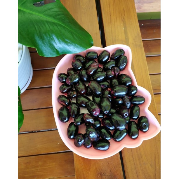 Juwet hitam