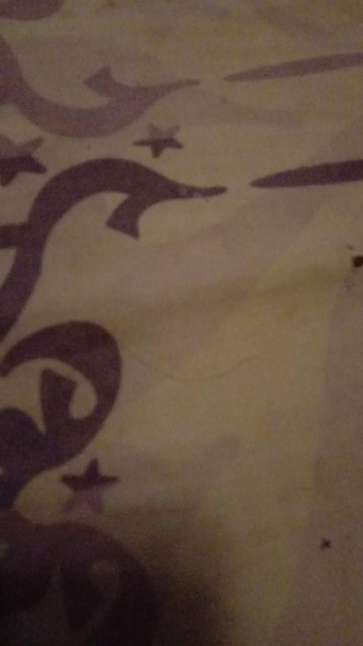 Nagada Baskom Ember Lipat Portable 5 L / Rumah Tangga Kebersihan Aaa