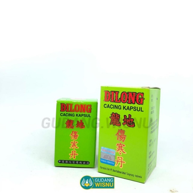 DILONG KAPSUL CACING OBAT TIPES