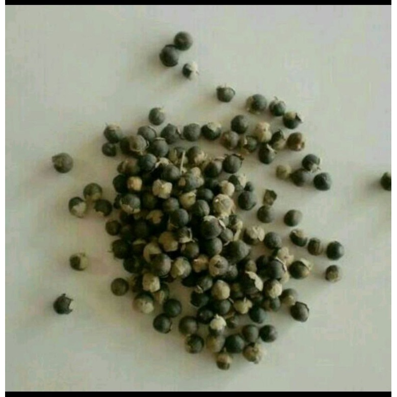 

600 G GR GRAM 蔓荆子 MAN JING ZI FRUCTUS VITICIS VITEX FRUIT