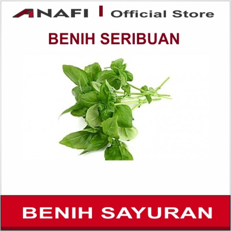 Benih Sayuran Kemangi Sayur Bibit Tanaman  benih sayuran Seribuan / Sayuran Hidroponik