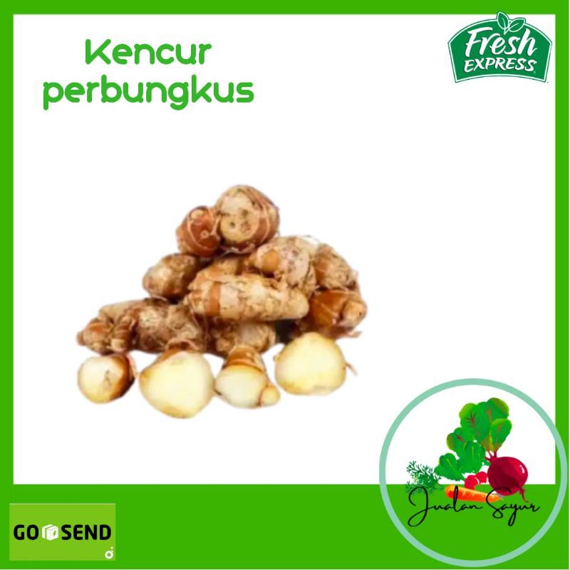 

Kencur Segar