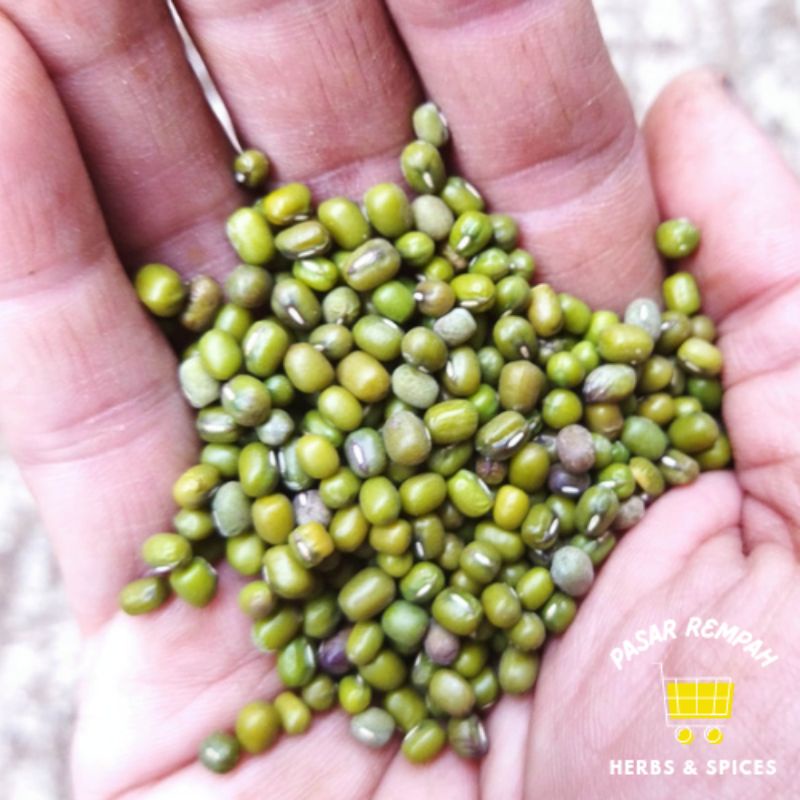 

Kacang Hijau