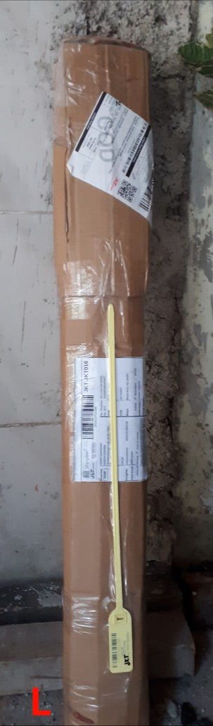 Bibit Leci Merah Asli