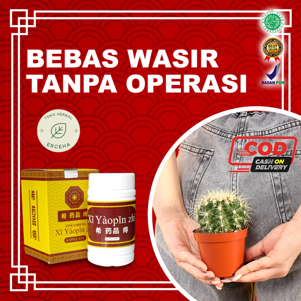 Kapsul Daun Ungu Mengatasi Wasir Ambeyen Ambeien Herbal Alami 100% Original XI YAOPIN ZHI