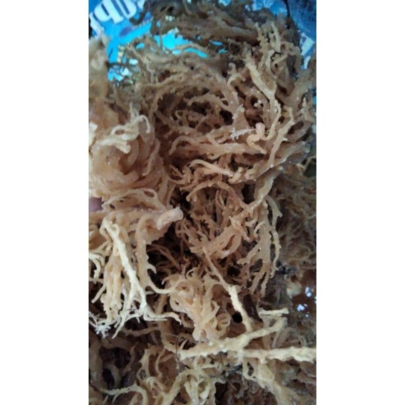 

Rumput Laut Kering