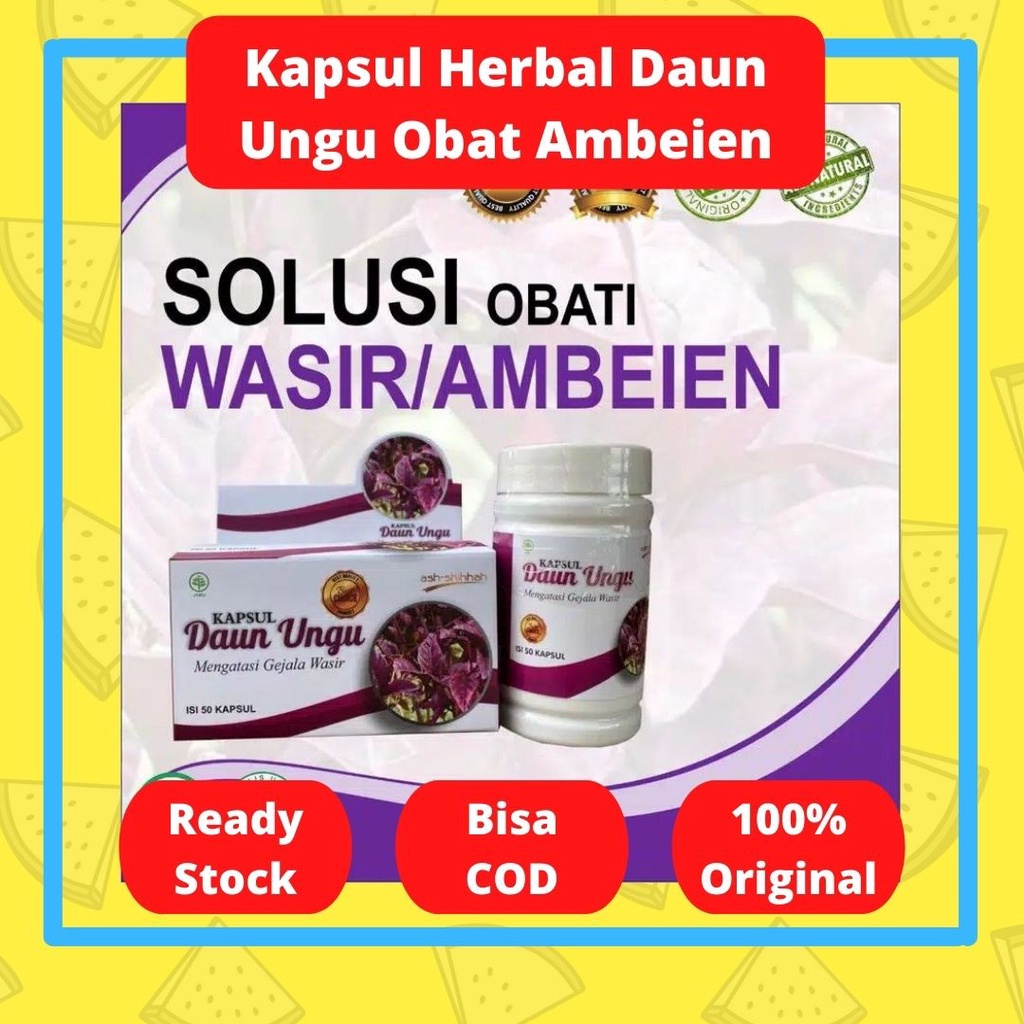 Kapsul Herbal Daun Ungu ORIGINAL BPOM Obat Ambeien Wasir Ambeyen Ampuh Benjolan Asli Ash Shihhah