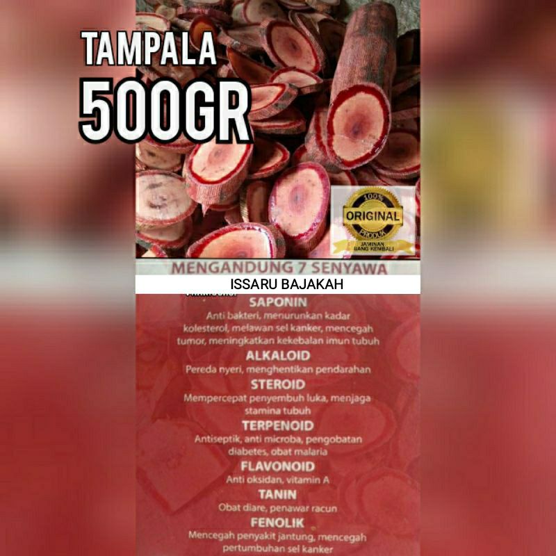 

Akar Kayu Bajakah Tampala Tunggal Merah Asli Kalimantan - 500g