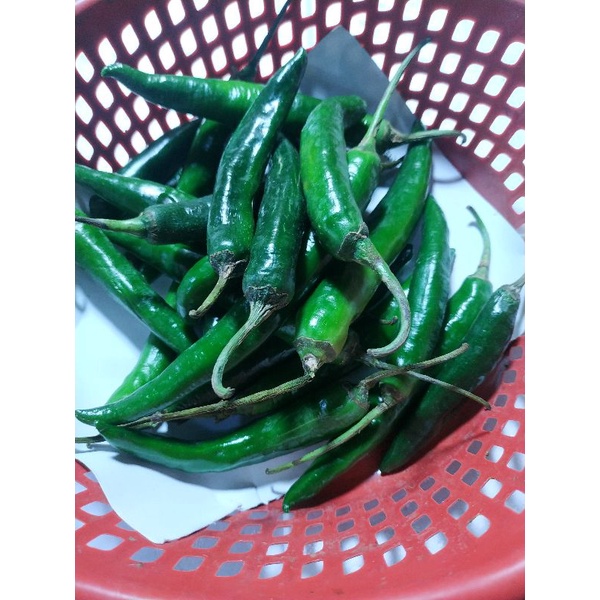 

cabe Teweh ijo