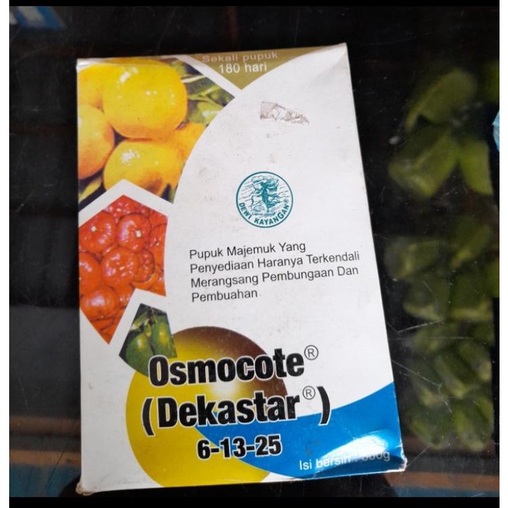 Pupuk Bunga Buah Tanaman Dekastar Plus Osmocote 6-13-25 500 gr