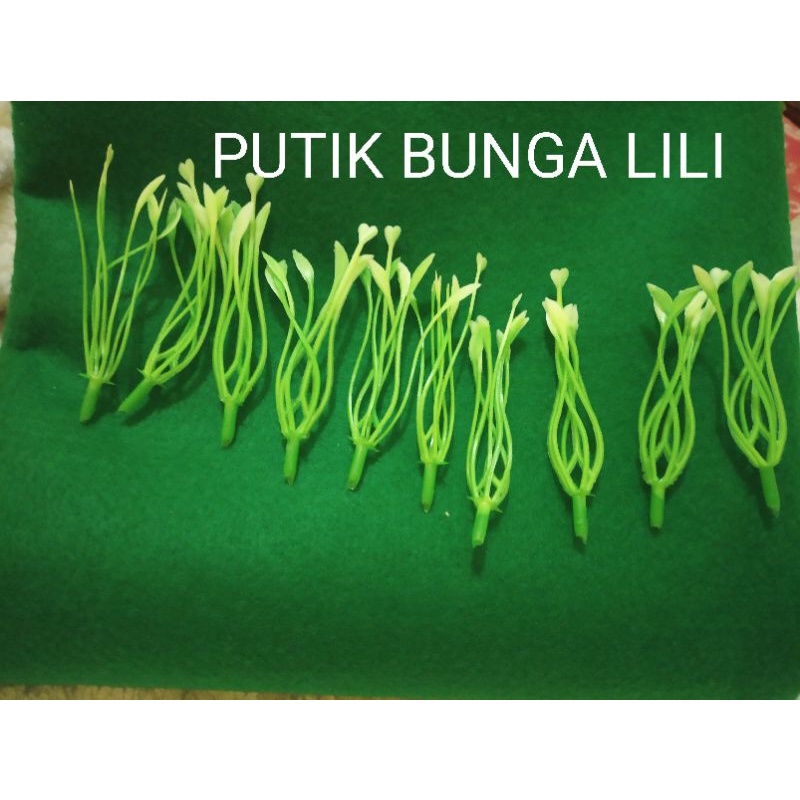 Grosir Putik Bunga LiLi putih/putik bunga lily plastik/Kain Stoking Bahan Bunga Stocking Murah Tebal