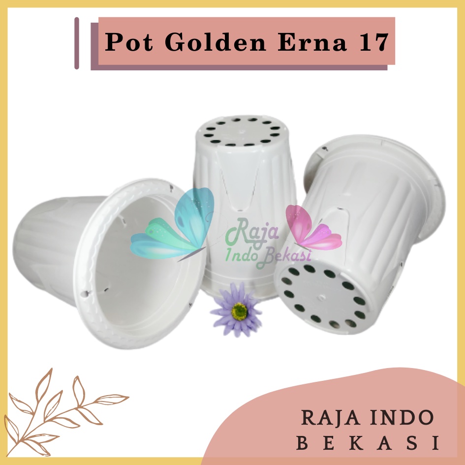 Pot Golden Erna 17 Putih - Pot Yogap 15 17 Murah