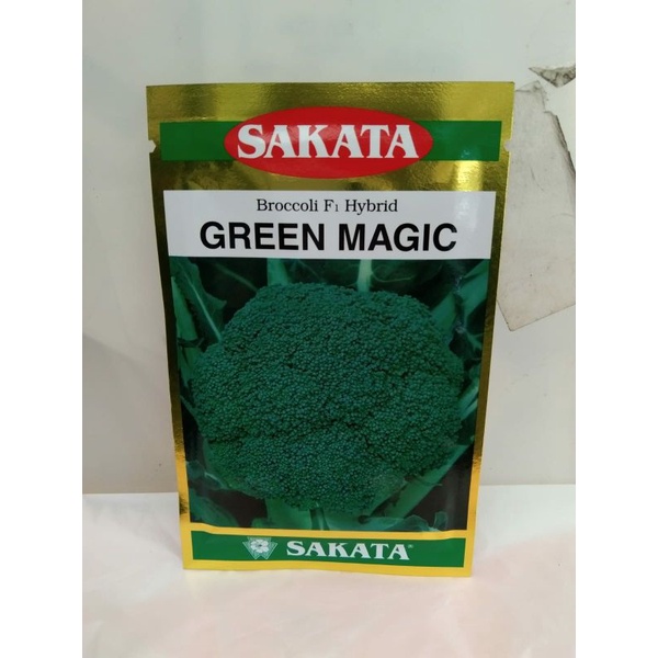 brokoli green magic sakata