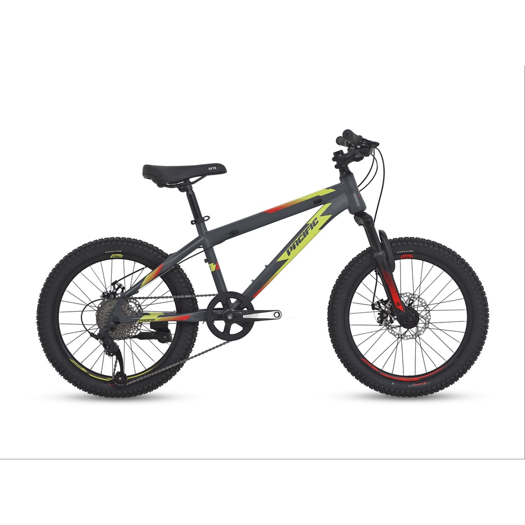 SEPEDA GUNUNG PACIFIC INVERT CADET 20” 9 SPEED FRAME STEEL MECHANICAL DISC BRAKE MTB