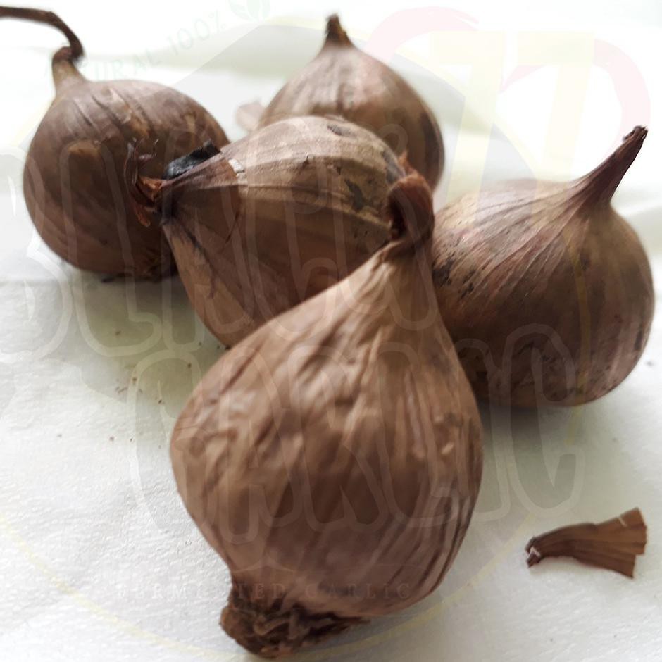 

Black Garlic/Bawang Hitam Tunggal 250 gr gram BERMACAM KHASIAT ZLD