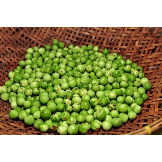 

Leunca - 500 gram