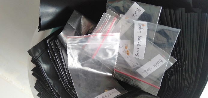 Polybag 20 X 20 Cm (kantong Plastik Polibag 1 Lembar)