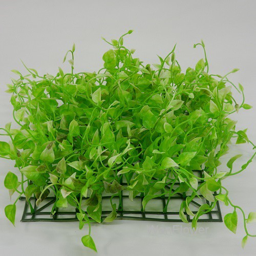 WANFLOWER Rumput 25x25 * MILION GRASS