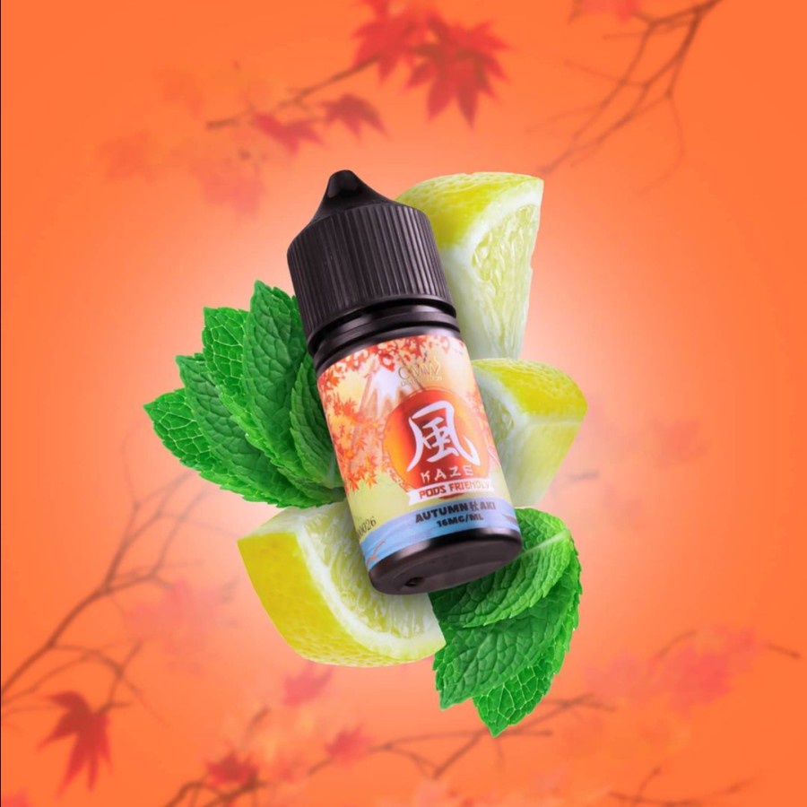 KAZE AUTUMN AKI SPRITZER ICE 30ML 16MG