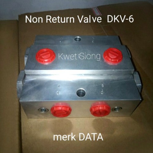 Non Return Valve DKV-6 Helm Pump Accessories DP42-DP63-DP88-DP120 merk DATA - Turkey Berkualitas
