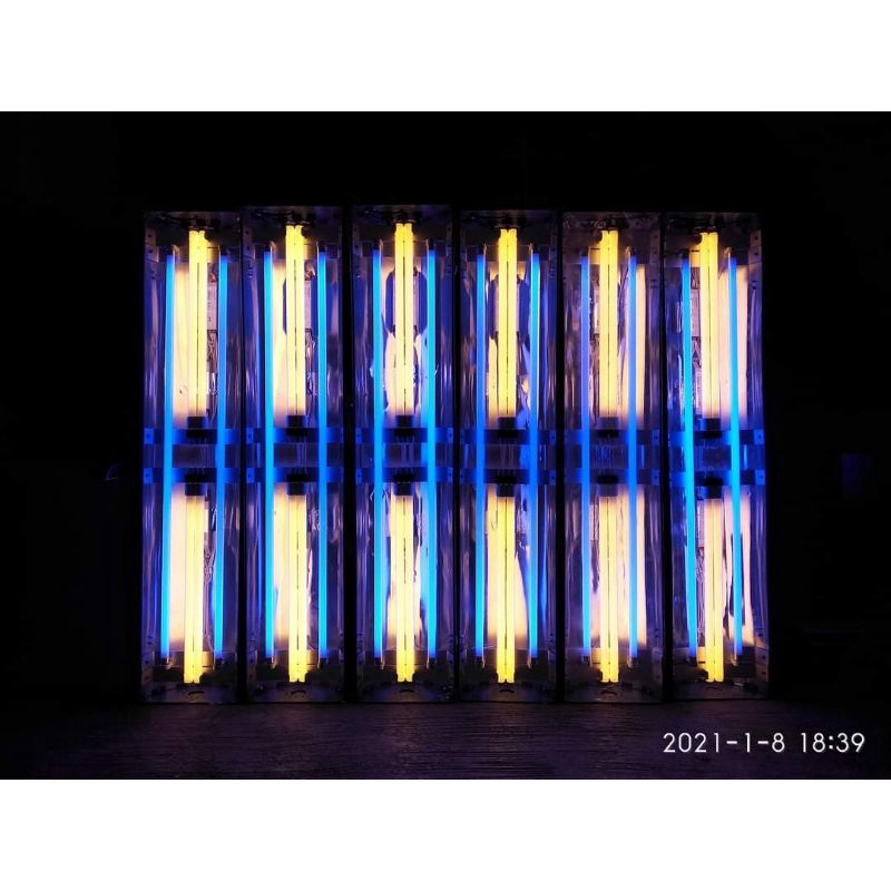 Lampu tanning isi 2 Aquazonic 2 Philips/PLL 72W 100CM