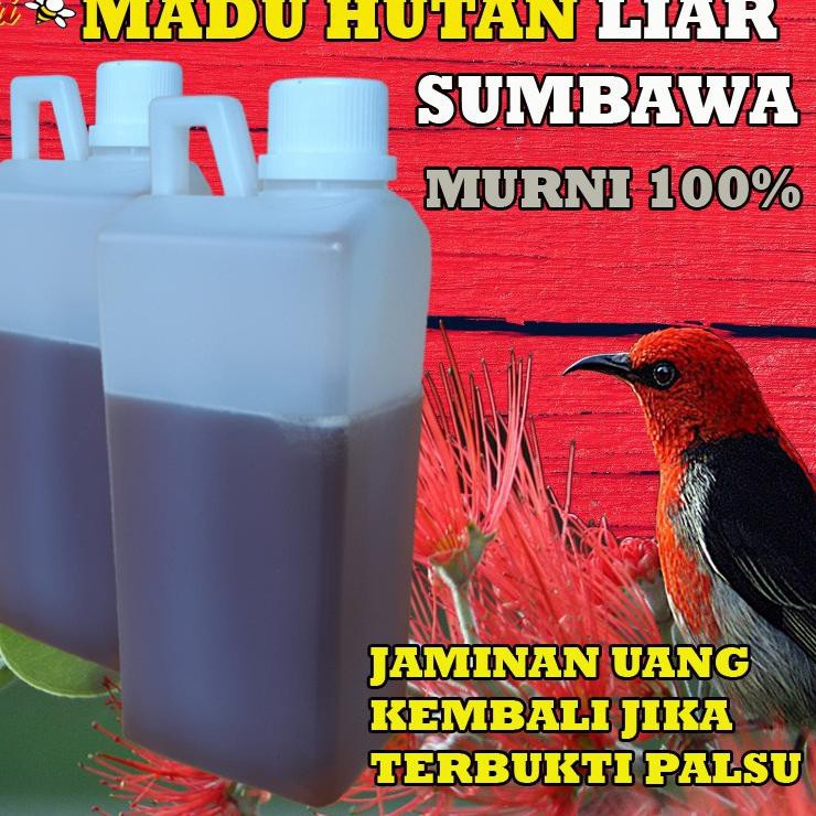 

Madu murni 1 gr multiflora asli sumbawa hutan liar odeng uray !
