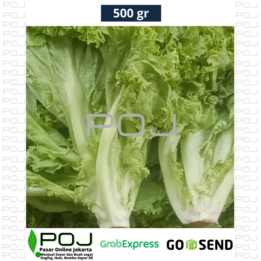 

Selada Air Keriting 500 gr✓Lalapan Salada✓Lettuce (POJ)✓Selada Keriting✓Selada Air Segar✓POJ