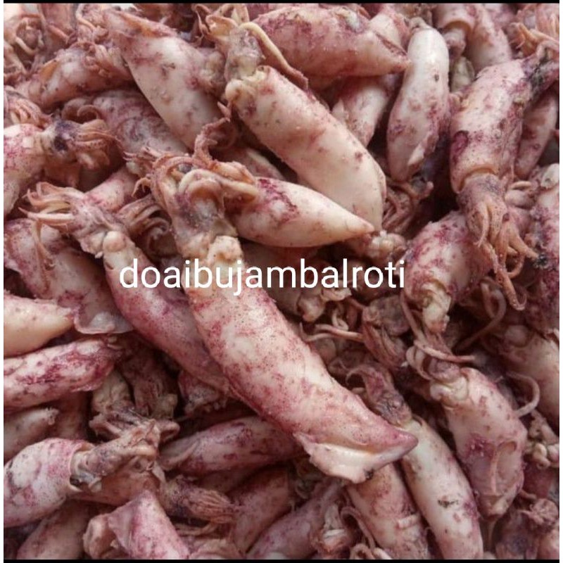 

Cumi telor 250 gram