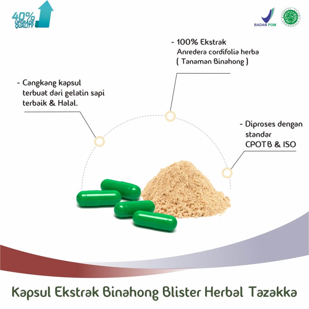 Obat Herbal Luka Pasca Operasi Ekstrak Daun Binahong Asli Tazakka Original 20 Kapsul Blister.