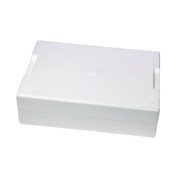 Styrofoam Box (kurir Regular)