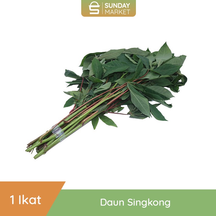 

Daun Singkong Segar 1 Ikat | Fresh Setiap Hari
