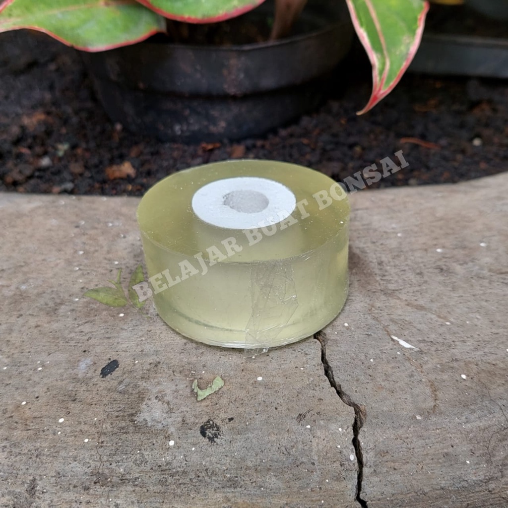 Grafting Tape Plastik Okulasi Untuk Cangkok Sambung Pucuk 3cmx100m