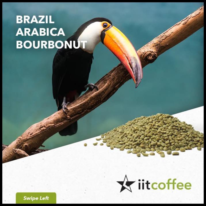 

Arabica Green Beans - Brazil Bourbonut Natural 1 Kg