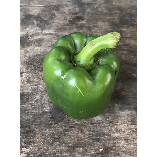 

PAPRIKA HIJAU SATUAN