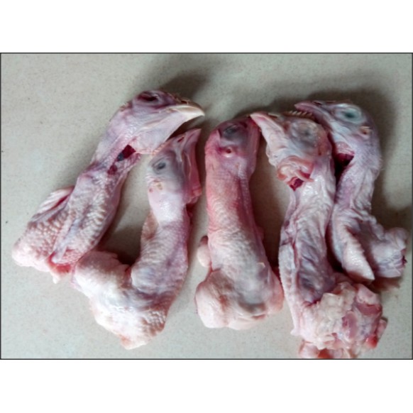 

Kepala Ayam (Fresh/Frozen)