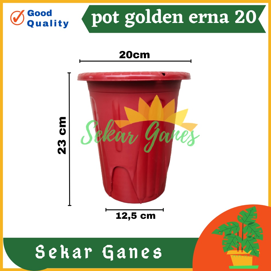 Pot Golden Erna 20 Merah Bata Coklat Terracota Terracotta Garden Of Love Mirip Pot Yogap 18 19 25 Murah  Putih Coklat Merah Bata Bening Transparan Pot Yogap 18 19 25 Pot Yogap Murah Pot Bunga Tinggi Pirus Tegak Bagus Tebal