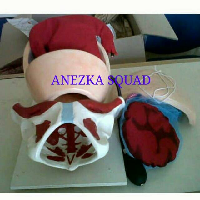 PHANTOM/MANEKIN/MANIKIN KOMPRESI BE MANUAL/KBI KBE