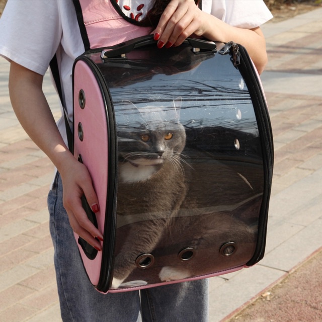 Pet Carrier Astronot Pet Untuk Anjing dan Kucing