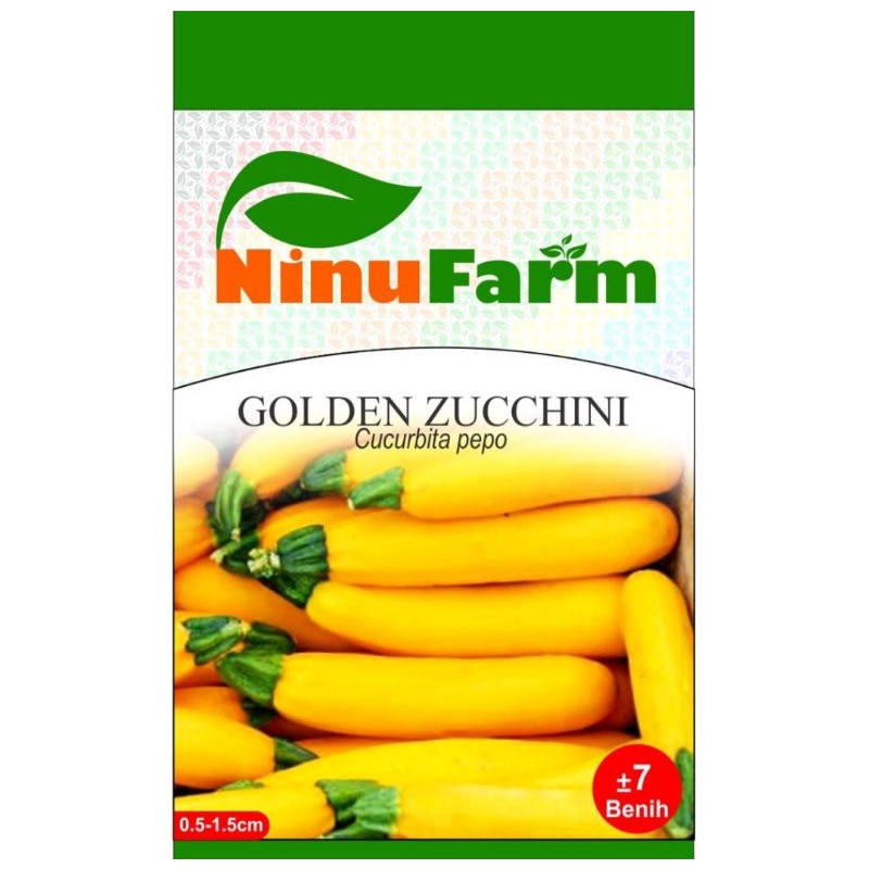 Golden Zucchini / Benih Labu Sayur Zukini / Bibit Zukini Emas