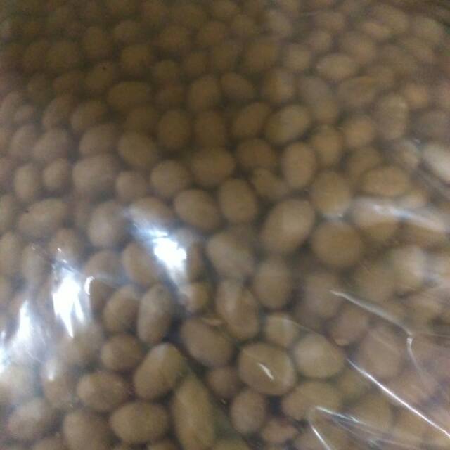 

Kacang Atom