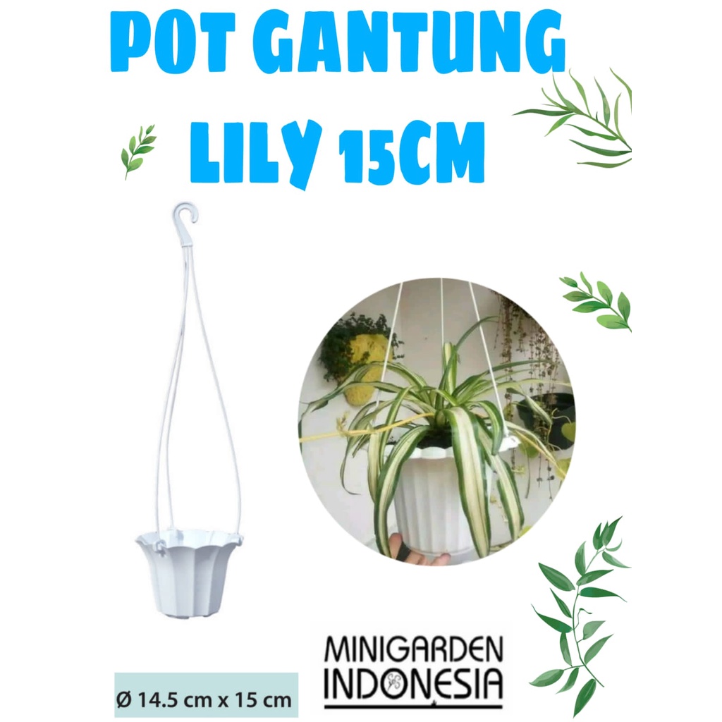 POT GANTUNG LILY PUTIH 15CM pot plastik tanaman hias dekorasi taman pot tempel