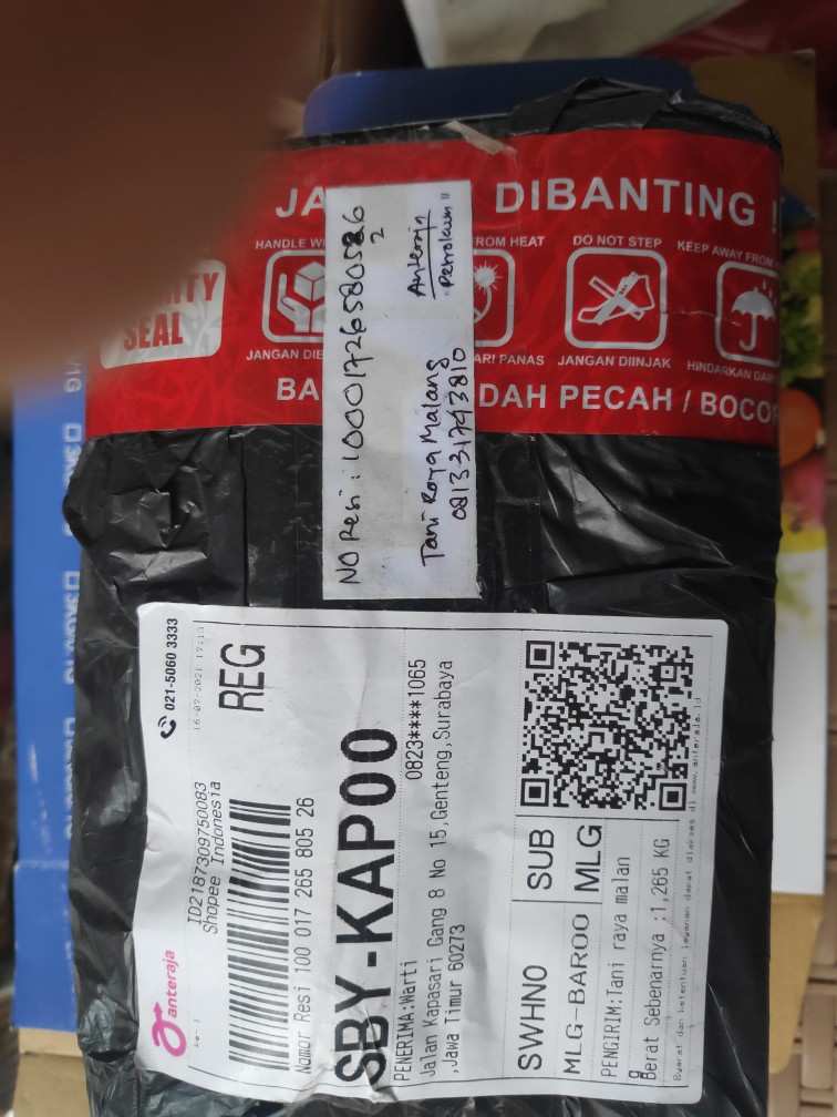 Petrokum 100 Gr Racun Tikus Mati Kering Tidak Bau