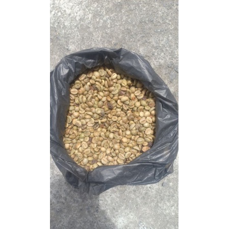 

kopi robusta gayo